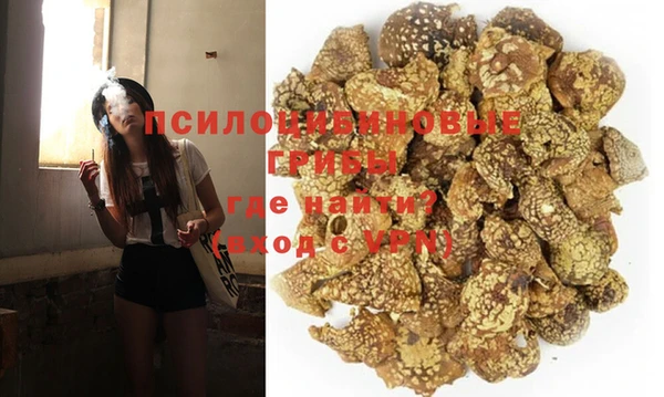 apvp Абаза