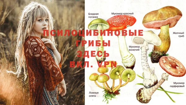 трава Абинск