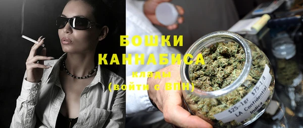 PSILOCYBIN Покачи